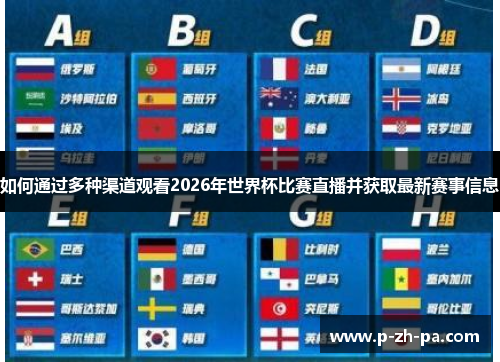 如何通过多种渠道观看2026年世界杯比赛直播并获取最新赛事信息