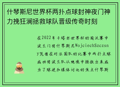 什琴斯尼世界杯两扑点球封神夜门神力挽狂澜拯救球队晋级传奇时刻